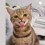 Karl Hoppe Gaviria - @karlhoppeg - Instagram
