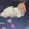 Carl Hyde - @carl.hyde3 - TikTok