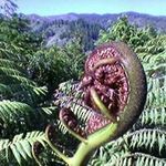 Karl Ingram - @ingram.karl - Instagram