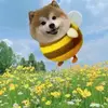 karl_jerome_z6_0112 - @karl_jerome_z6_0112 - TikTok