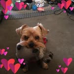 Karl Kellner - @karl.kellner.33 - Instagram