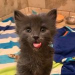 Karl Keyes - @karlkeyes - Instagram