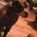 Karl Kidd - Facebook