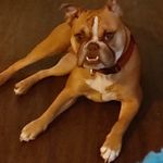 Karlkirk Moffat - @karlkirk_moffat - Instagram