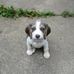 Karl Kirkpatrick - Facebook