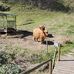 Karl-Heinz Kirschbaum - Facebook