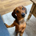 Karl Kos - @karl1962.kos - Instagram