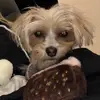 user5970837849824 - @karla.kovar - TikTok