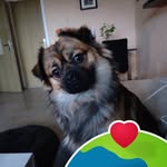 Karl-Heinz Kunkel - @karlheinz.kunkel - Instagram