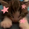 yr_loneliness - @karlla.mar - TikTok