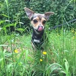 Karl Lehmann - @kjnmediaservices - Instagram