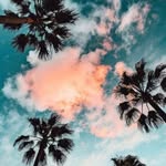 karllehmann - @karllehmann0228 - Instagram