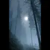 karllehrl - @karllehrl - TikTok