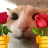 @leosighs - @karl_leo44 - TikTok