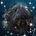Karl-Heinz Link - Facebook