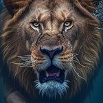Karl Löwe - @karl.loewe - Instagram