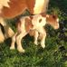 Karl Maher - Facebook