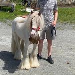 Karl Maher - @karl_maher1 - Instagram