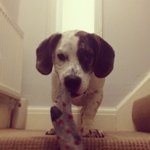 Karl Mcbride - @mcferg87 - Instagram