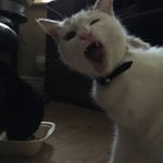 Karl Moss - @mosskarl_01 - Instagram