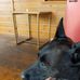 Karl Mueller - Facebook