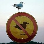 Karl Mundt - @mundtkarl - Instagram