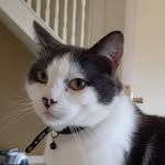 Karl Murphy - @karlmurphy928 - Instagram