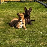 Karl Nash - @karlnash - Instagram