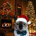 Karl Nathaniel - Facebook