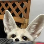 Karl Nathaniel - @karlnathaniel3 - Instagram