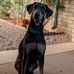 Karl Nehammer Jr - Facebook