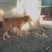 Karl Nero - Facebook