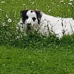 Karl Nestler - @nestlerkarl - Instagram