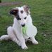 Karl Nestler - Facebook