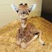 Karl Neubauer - Facebook