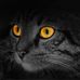 Karl Frederick Newkirk - Facebook
