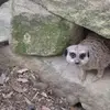 Karl Newsome - @karl.newsome - TikTok