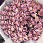 Karl Nikanor - @nikanorkarl - Instagram