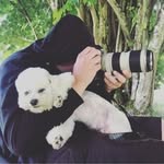 Karl Nilsson - @beta75 - Instagram