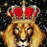 karl nixon - @karlnixon31 - Instagram