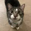 karla - @karla_noelle - TikTok