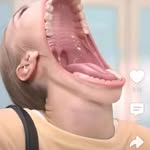 karl nolan - @karlnolan017 - Instagram