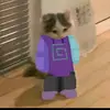 karl❤ nolan - @karl.nolan2 - TikTok