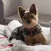 Karl Nolan - @karl.nolan0 - TikTok