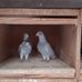 Karl-Heinz Nolte - Facebook