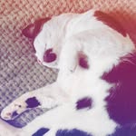 Cassius Karl Noonan - @cassiuskarlnoonan - Instagram