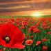 Karl Northover - Facebook