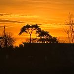 Karl norton - @karl_norts - Instagram
