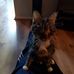Karl Nowak - Facebook