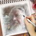 Karl Nowak - Facebook
